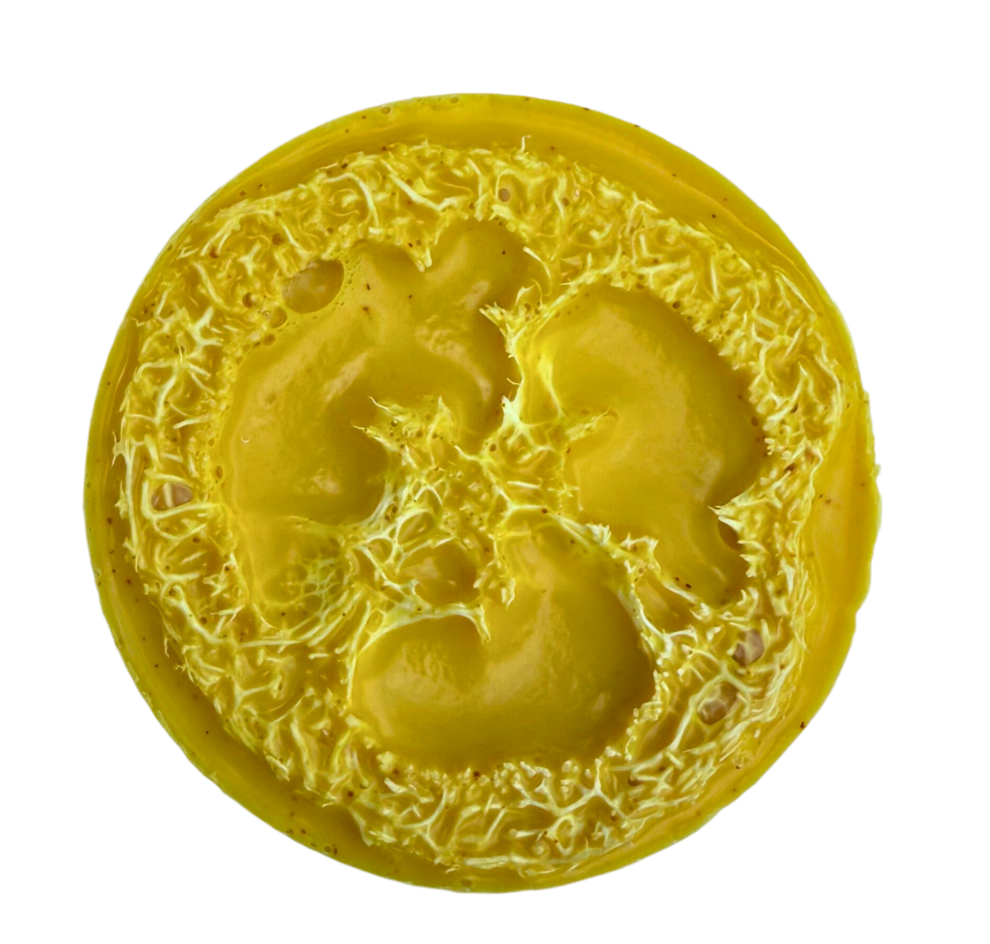Turmeric Loofah Bar