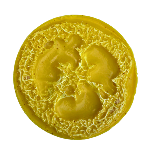 Turmeric Loofah Bar